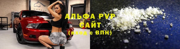 индика Нея