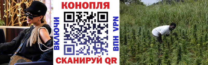 продажа наркотиков  гидра вход  Конопля VHQ  Бакал 